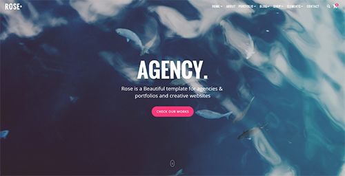 Agency